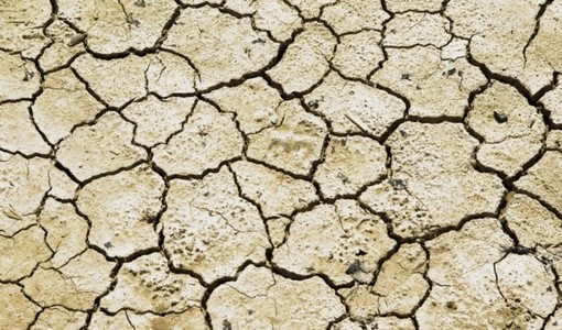 Confagricoltura Piemonte: più risorse per credito agrario e cooperative contro la siccità
