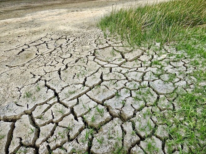 Campi all'asciutto e raccolti a rischio, Confagricoltura promuove la linea della Regione sull'emergenza idrica Campi all'asciutto e raccolti a rischio, Confagricoltura promuove la linea della Regione sull'emergenza idrica