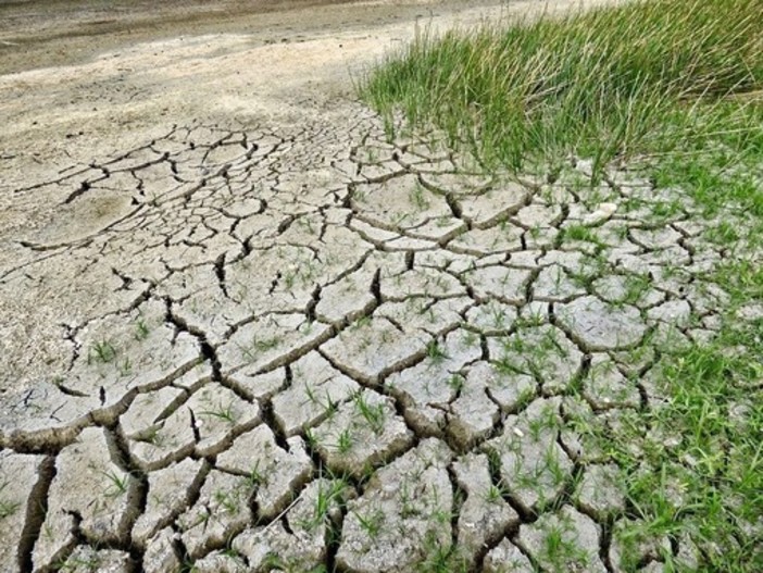 Siccità in Piemonte, pronta la dichiarazione dello stato di emergenza per la crisi idrica Siccità in Piemonte, pronta la dichiarazione dello stato di emergenza per la crisi idrica