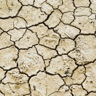 Confagricoltura Piemonte: più risorse per credito agrario e cooperative contro la siccità