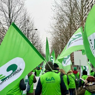 Le immagini della manifestazione oggi a Strasburgo