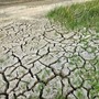 Siccità, Coldiretti Cuneo: l'emergenza continua, serve un confronto in regione