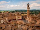 Siena , estratte le contrade, primo atto verso il Palio di Provenzano