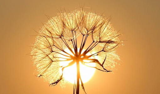 Si preannuncia un mercoledì di fuoco sia in pianura che sulle colline