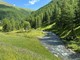 Settimana green e &quot;Green wall&quot;: il Des Ambrois &quot;fa la scelta giusta&quot; con docenti e studenti, dialogando con il territorio valsusino