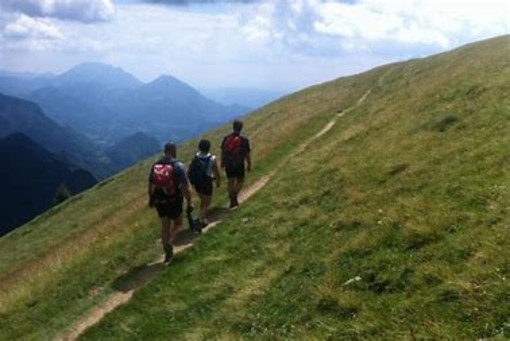 Peste suina: altri 5 nuovi casi in Piemonte e Liguria. Ma è giusto vietare attività escursionistiche?