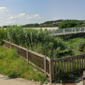 Lavori sul torrente Borbore, gli ambientalisti: "Rendere pubblici studi idraulici ed ambientali"