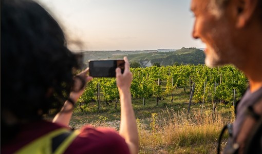Diventare ambasciatore dei Paesaggi Unesco di Langhe-Roero e Monferrato: tre incontri aperti a cittadini, operatori e amministratori