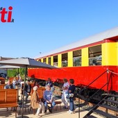 Il treno tra le vigne (MerfePhoto)