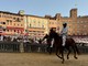 La tratta del Palio (Ph Comune di Siena)