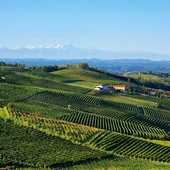 Moscato, l'Associazione Comuni chiede equilibrio sulle rese: "La produzione non va ridotta"