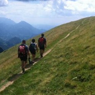 Peste suina: altri 5 nuovi casi in Piemonte e Liguria. Ma è giusto vietare attività escursionistiche?