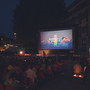 In foto: una proiezione della scorsa edizione del Terre da Film Festival