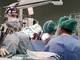 Aido in Commissione Sanità: &quot;Crollano i consensi alla donazione di organi, servono più informazione e volontari&quot;