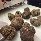 Tartufi in vendita fuori periodo, sequestro e sanzione ad Asti