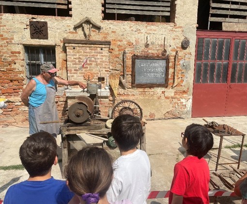 Alcune immagini della giornata passata in cascina