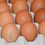 Allarme salmonella nelle uova: richiamato lo stesso lotto di Selex, Despar e Fattorie Natura Coop