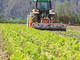 Agricoltura: dalla Regione in arrivo 12,7 milioni di euro per le aziende agricole