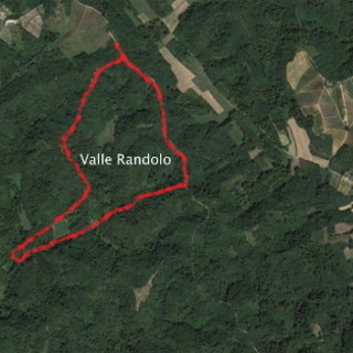 L'area in cui avrebbe dovuto sorgere la pista ora bocciata dal TAR