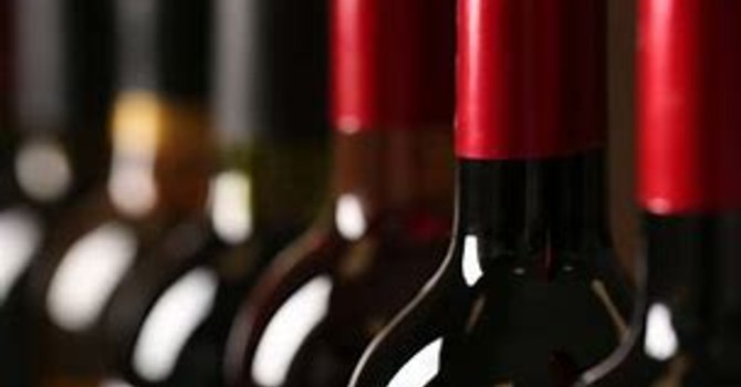 Il vino biologico piemontese piace al mondo, ma la burocrazia pesa sulle aziende Il vino biologico piemontese piace al mondo, ma la burocrazia pesa sulle aziende