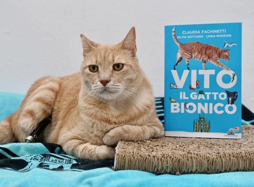 Villanova: la storia di Vito &quot;il gatto bionico&quot; diventa un libro sull'amicizia che non conosce diversità