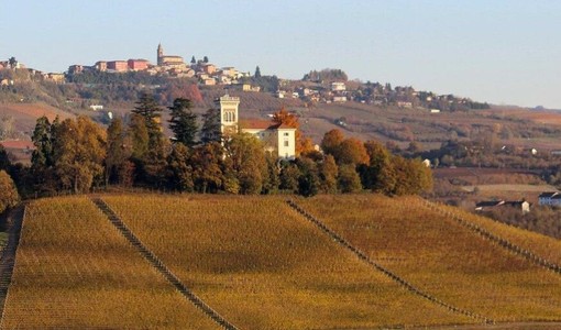 Enoteca Colline Alfieri: aperto il bando per un membro del Consiglio direttivo