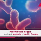 Malattia della pioggia, aumento dei casi in Europa Malattia della pioggia, aumento dei casi in Europa