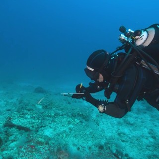Clima, mare caldo fino a 40 metri di profondità