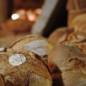 Il pane di Oropan sulla via della sostenibilità arriva in 26 paesi del mondo Il pane di Oropan sulla via della sostenibilità arriva in 26 paesi del mondo