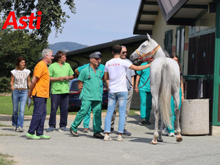 Le foto della mattinata (Merphefoto)