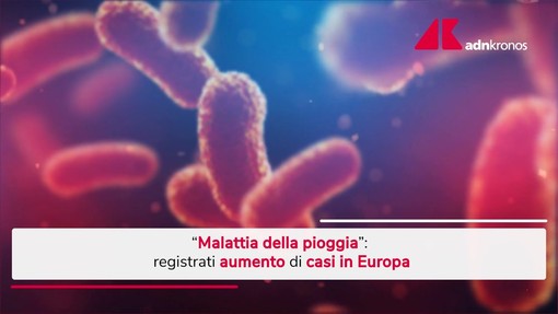 Malattia della pioggia, aumento dei casi in Europa Malattia della pioggia, aumento dei casi in Europa