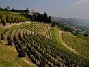 Ente Turismo Langhe Monferrato Roero, il prossimo presidente potrebbe essere espressione dell'Astigiano? Ente Turismo Langhe Monferrato Roero, il prossimo presidente potrebbe essere espressione dell'Astigiano?