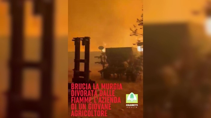 Incendio distrugge azienda agricola in Puglia, la disperazione dell'agricoltore