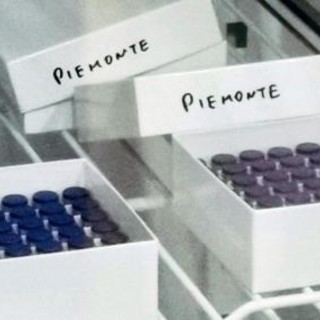Covid: la situazione epidemiologica e vaccinale in Piemonte. Nell'ultima settimana Asti ha 27 casi in più