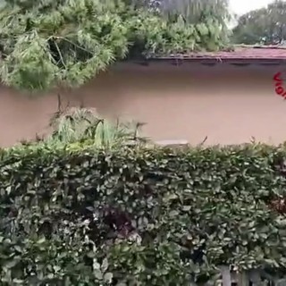 Tromba d'aria nel Lucchese, alberi caduti su auto e abitazioni