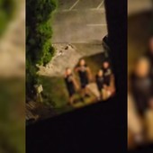 Sofia, neonazisti bulgari contro adolescenti ebrei italiani: braccia tese e urla "Sieg Heil" Sofia, neonazisti bulgari contro adolescenti ebrei italiani: braccia tese e urla "Sieg Heil"