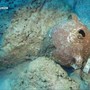 Il relitto più antico del mondo ha 4.700 anni: la scoperta nelle acque della Turchia Il relitto più antico del mondo ha 4.700 anni: la scoperta nelle acque della Turchia