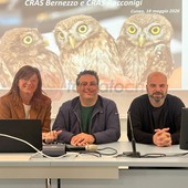 Da sinistra Gabriella Vaschetti, Matteo Attolico e Federico Pellegrino Da sinistra Gabriella Vaschetti, Matteo Attolico e Federico Pellegrino