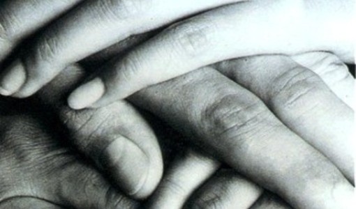 Volontariato, l'allarme della Ravinale (AVS): "Subito il bando o perderemo i fondi" Volontariato, l'allarme della Ravinale (AVS): "Subito il bando o perderemo i fondi"