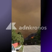 Incendi in Sardegna, notte di fuoco ad Arzana: dall'alba in volo due Canadair Incendi in Sardegna, notte di fuoco ad Arzana: dall'alba in volo due Canadair