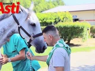 Le foto della prima giornata di visite (Merphefoto)