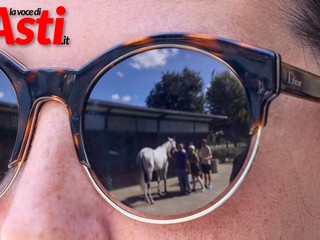 Le foto della prima giornata di visite (Merphefoto)