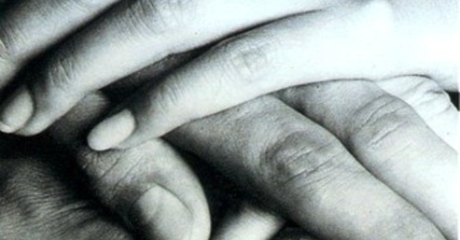 Volontariato, l'allarme della Ravinale (AVS): "Subito il bando o perderemo i fondi"