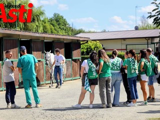 Le foto della prima giornata di visite (Merphefoto)