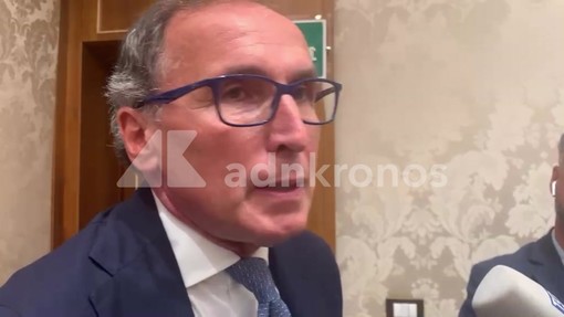 Legge elettorale, Boccia: "È incostituzionale"