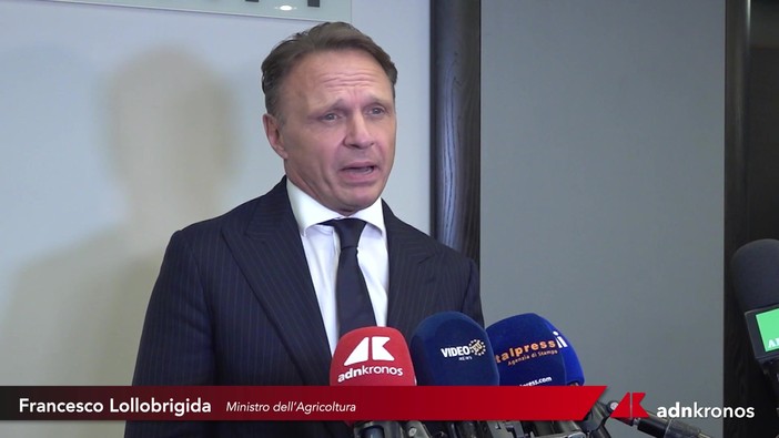 Agricoltura, Lollobrigida: "L'UE cambi passo su competitività e fondi, difesi 9 miliardi per l'Italia" Agricoltura, Lollobrigida: "L'UE cambi passo su competitività e fondi, difesi 9 miliardi per l'Italia"