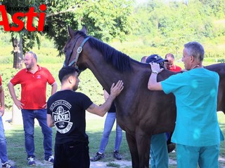 Le foto della prima giornata di visite (Merphefoto)