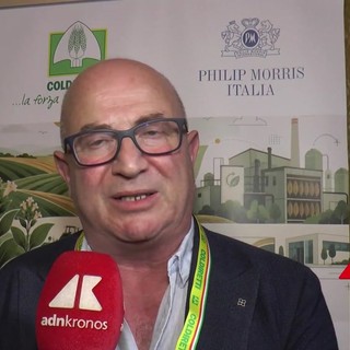 Trippella (Philip Morris), 'ogni anno acquisti in tabacco per 100 mln in Italia'