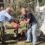A Pontida il tributo a Bossi: Calderoli e Leoni piantano un ulivo e cantano 'Va pensiero'