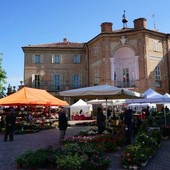 Viviverde (immagine da un'edizione precedente)